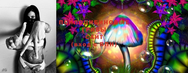 ECSTASY Баксан