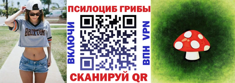 Псилоцибиновые грибы мицелий  Ульяновск 